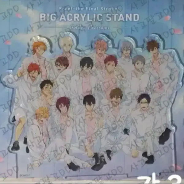 [BUNJANG] Free! Group Acrylic Standee 'Golden Blossoms' / 프리 free! 단체 아크릴 스탠드