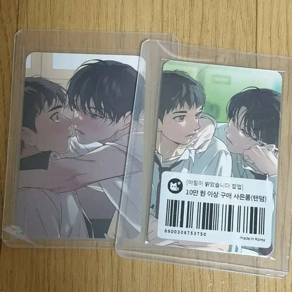 [BUNJANG] LE SSERAFIM Backlight Special Photocard Bundle Set / 백라이트 레봄 특전포카 아밝특전포카