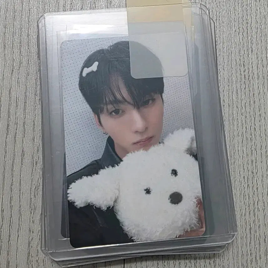 [BUNJANG] Xdinari Deadend Love to Death Odd Bundle Set Photocards / 엑디즈 데드앤드 럽투데스 오드 포카 일괄판매