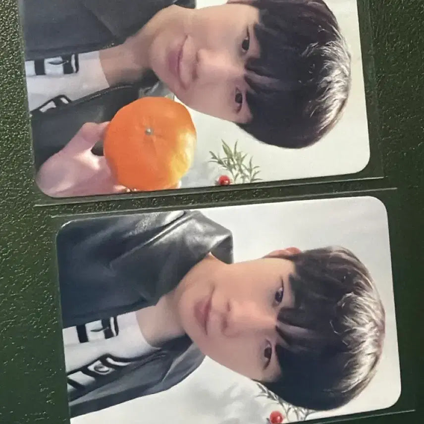 [BUNJANG] INFINITE Sungkyu Dear My Muse POB Photocard / 인피니트 성규 디어마이뮤즈 미공포 양도