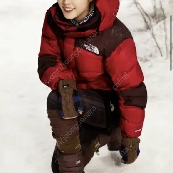 [BUNJANG] The North Face Summit Series Alpha Goose Down Puffer Jacket / 노스페이스 800윈드스토퍼 한정 패딩 팝니다-똥값 오늘만!!