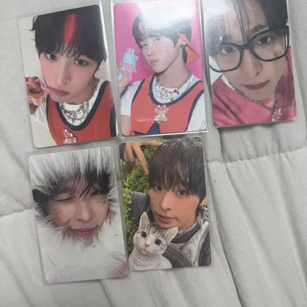 [BUNJANG] NCT WISH Riku Bundle Set Photocard / 엔시티위시 리쿠 포토카드 5장 일괄 판매