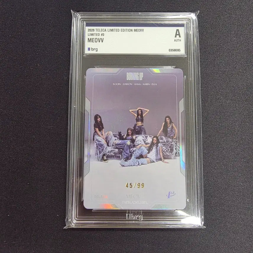 [BUNJANG] Miyau Limited Edition Group 99 'Teretca 2026' Trading Card / 2026 테레카 리미티드 에디션 미야오 단체 99한정