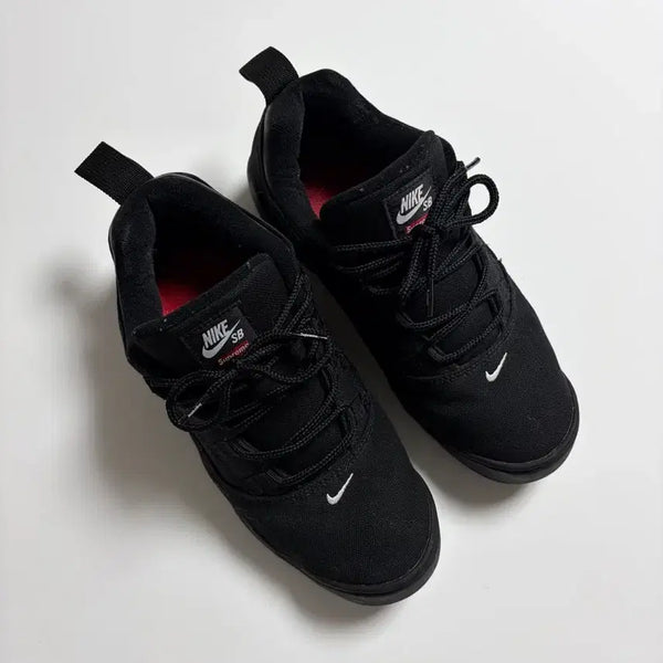 [BUNJANG] Supreme Nike Darwin Sneakers / 슈프림 나이키  다윈