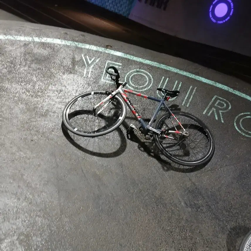 [BUNJANG] Engine11 Crit D Bike / 엔진11. 급체ㅣ