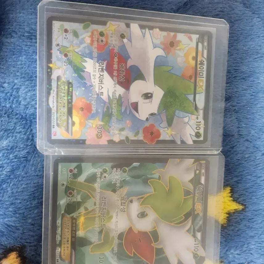 [BUNJANG] Pokemon Card Bittob Shakul Shaymin Bundle Set / 포켓몬카드 비떱 샤컬 쉐이미 일괄로 급처합니다