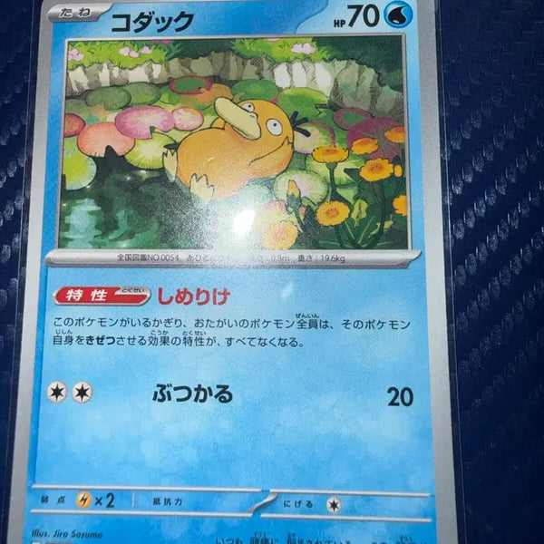 [BUNJANG] Pokemon Card Golduck Japanese / 포켓몬카드 고라파덕 일판 카드