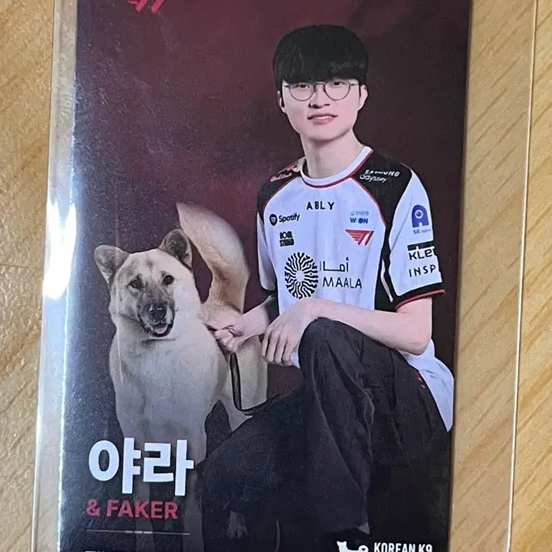 [BUNJANG] T1 Faker Yarra Photocard / 홈그라운드 T1 페이커 포토카드