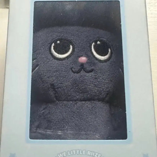[BUNJANG] RIIZE RIIZING Wonbin TONYNGDUK Magnetic Doll / 라이즈 리라즈 원빈 토냥덕 마그네틱 자석 인형