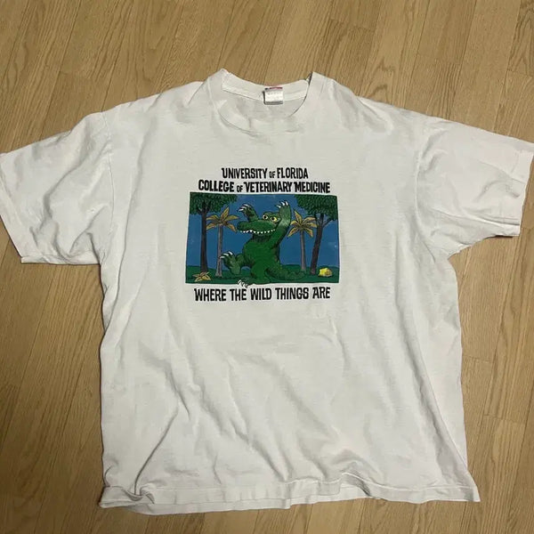 [BUNJANG] 90s Single Stitch Vintage T-Shirt / 90s made in usa 싱글스티치 빈티지 티셔츠 수소봉제 미제티셔츠