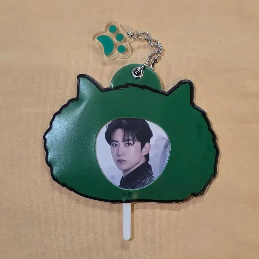 [BUNJANG] Taecyeon Tokyo Dome Returns Mini Uchiwa Photocard / 택연 도쿄돔더리턴 미니우치와
