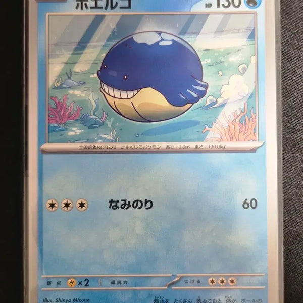 [BUNJANG] Pokemon Card Whale Prince 024/100 / 포켓몬카드 고래왕자 024/100