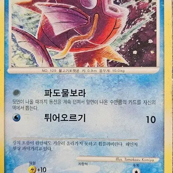 [BUNJANG] Pokemon Card Magikarp LV.10 / 포켓몬카드 잉어킹 LV.10