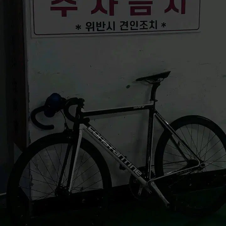 [BUNJANG] Constantine Disperal 2022 Custom Bicycle / 콘스탄틴 디스페랄 2022 판매
