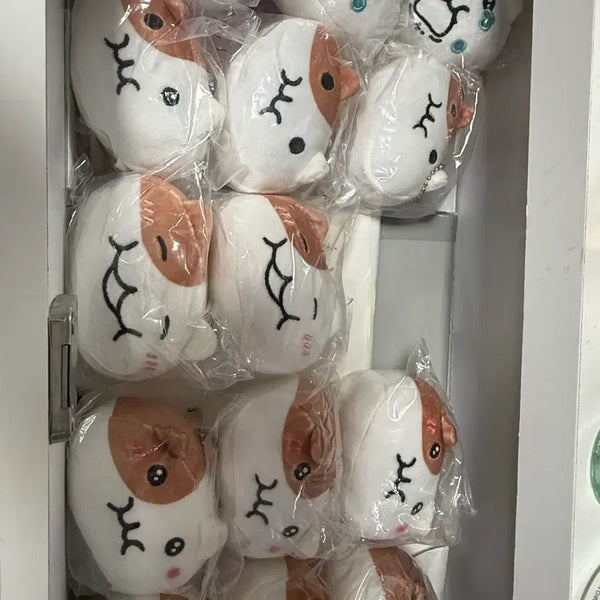 [BUNJANG] Jjonnyami Face Keychain Gacha Set / 쫀냐미 얼굴 키링 가챠 팝니다