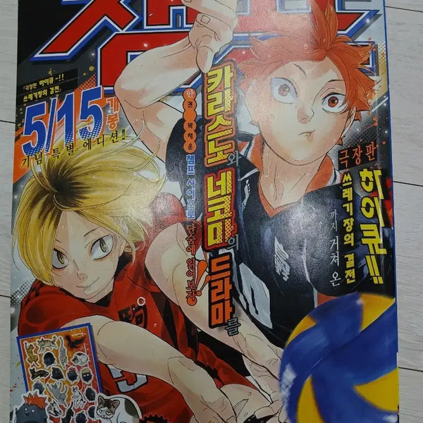 [BUNJANG] Haikyuu!!: The Dumpster Battle Chapter 1 Manga / 하이큐 챔프 판매