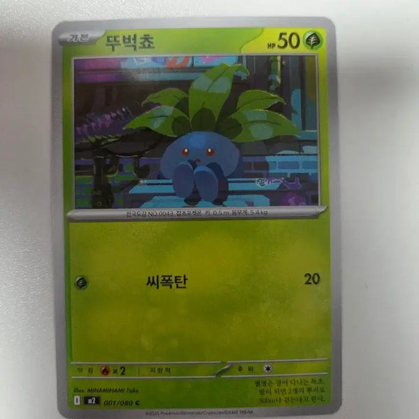[BUNJANG] Pokemon TCG Paras / 포켓몬 카드 뚜벅쵸