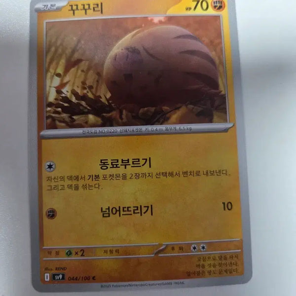 [BUNJANG] Pokemon Card Kukuri C 044/100 / 포켓몬 카드 꾸꾸리