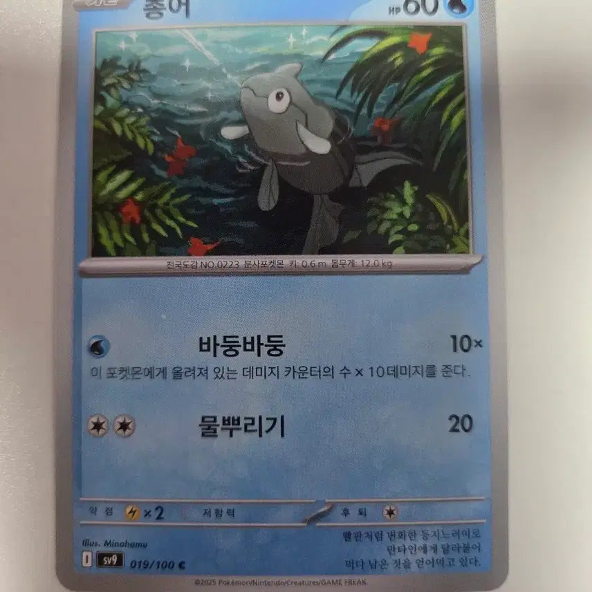[BUNJANG] Pokemon Card Torkoal SV9 019/100 / 포켓몬 카드 총어 SV9 019/100