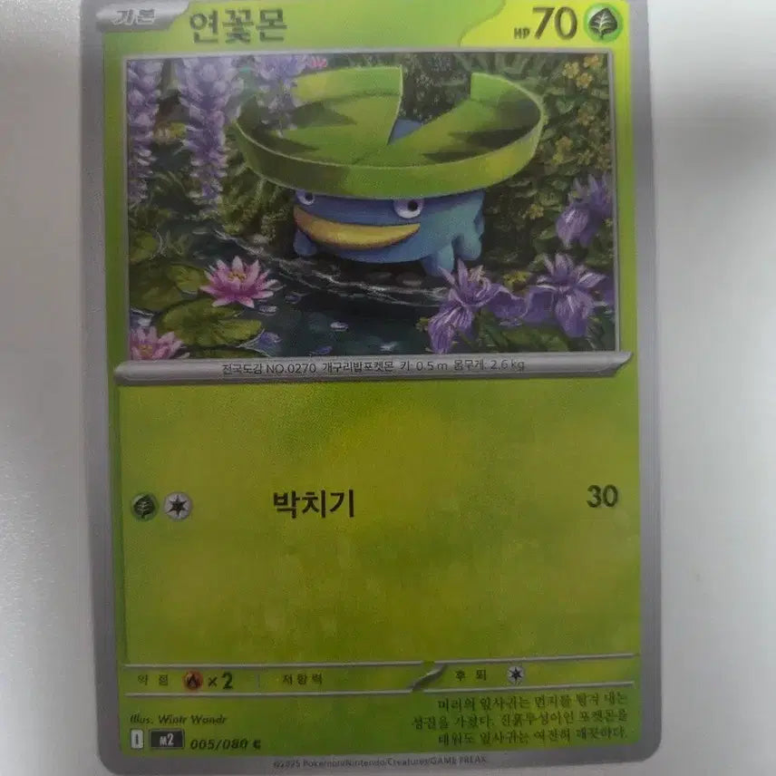 [BUNJANG] Pokemon Card Lotad 005/080 / 포켓몬 카드 연꽃몬 005/080