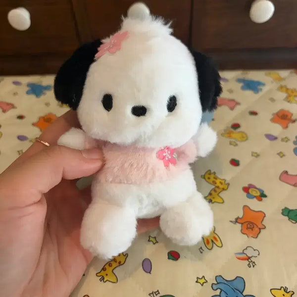 [BUNJANG] Sanrio Pochacco Cherry Blossom Keychain/Plush / 포차코 벚꽃 키링/인형