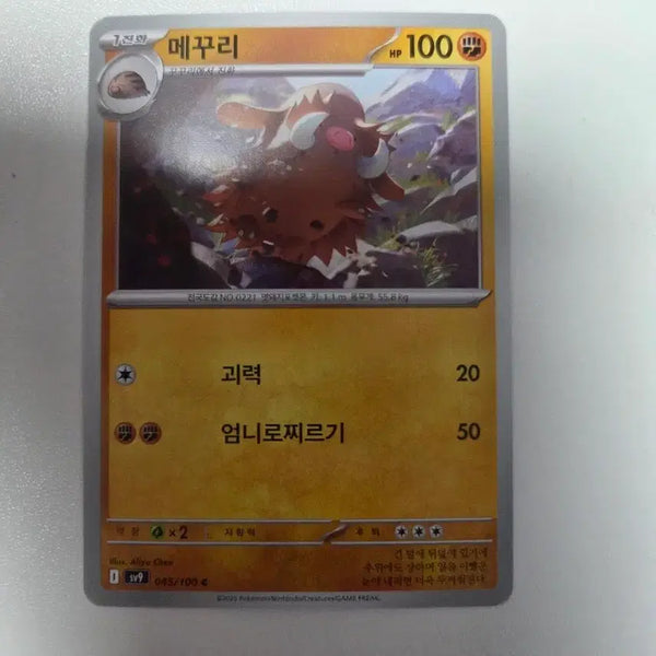 [BUNJANG] Pokemon Card "Mekuri" 100LP / 포켓몬 카드 메꾸리 100LP