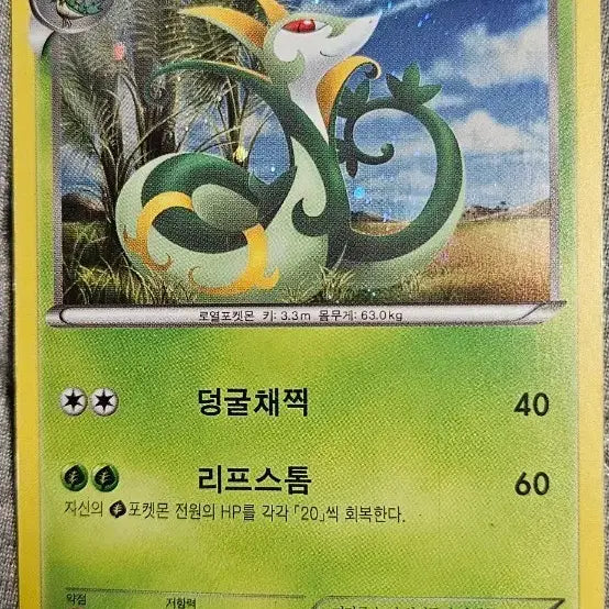 [BUNJANG] Pokemon Card Serperior + Servine / 포켓몬 카드 샤로다+ 샤비