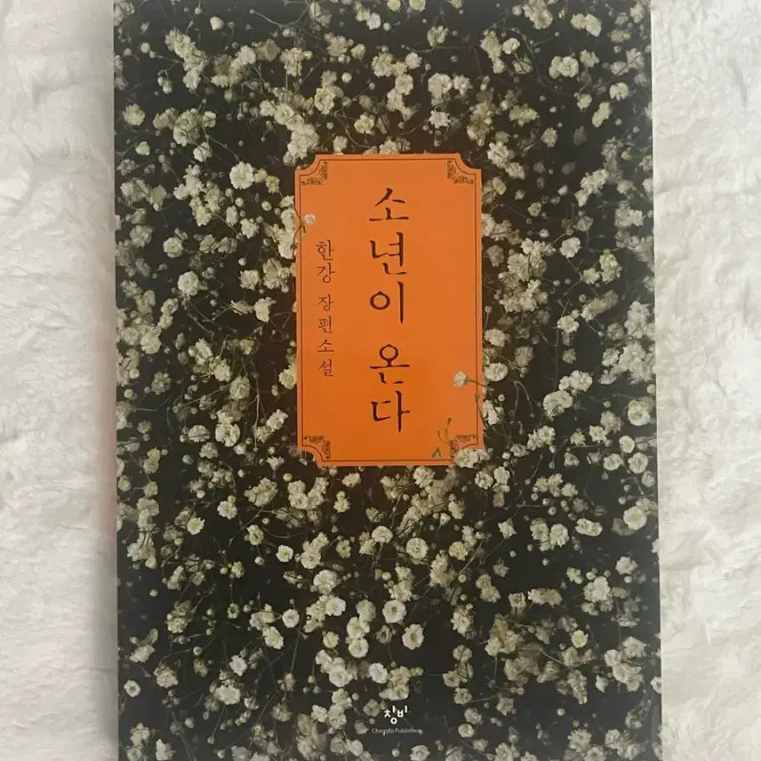 [BUNJANG] The Boy Who Came From the Han River Novel / 한강 소년이 온다 책 소설책 판매