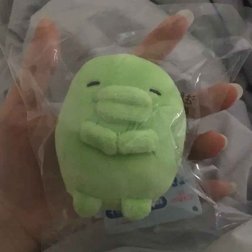 [BUNJANG] Unsealed Chuuu Chuuu Parti Chuuu Plush Keychain / 미개봉) 주댕치 구치파치 푸리누이 키링 판매합니당