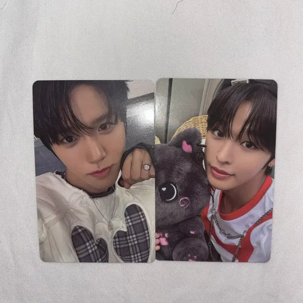 [BUNJANG] NCT WISH Jaehee Riku Bundle Set Photocards / 엔시티 위시 컬러 재희 리쿠 포카 일괄 양도