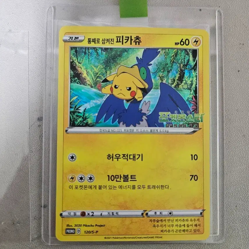 [BUNJANG] Pokemon Card Pikachu Swallowed Whole / 포켓몬카드 통째로 삼켜진 피카츄