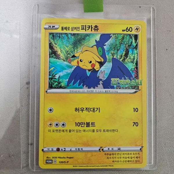 [BUNJANG] Pokemon Card Pikachu Swallowed Whole / 포켓몬카드 통째로 삼켜진 피카츄