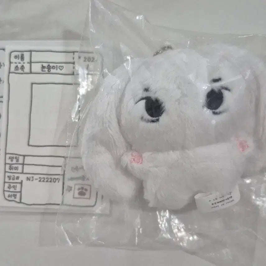 [BUNJANG] NewJeans Haerin Lintoto Doll / [미개봉]뉴진스 해린[린토토]인형 뉸송이들 판매