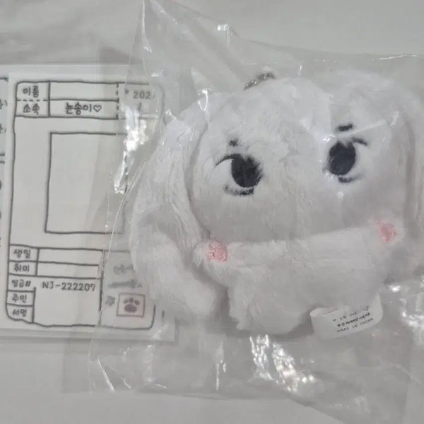 [BUNJANG] NewJeans Haerin Lintoto Doll / [미개봉]뉴진스 해린[린토토]인형 뉸송이들 판매