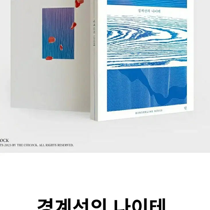 [BUNJANG] Slam Dunk Hoyeol & Baekho Fan Fiction 'The Ring of Age' / 슬램덩크 호열백호 회지 양도