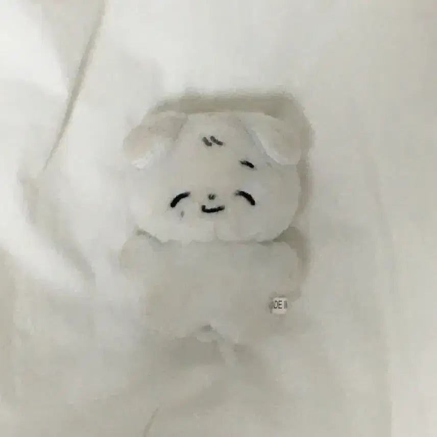 [BUNJANG] Moongjjongie Plush / 뭉쫑이