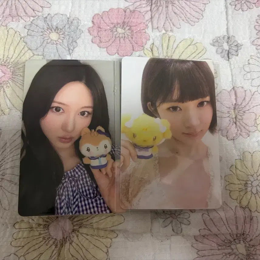 [BUNJANG] IVE Mini Love Ray Photocard / 아이브 미니브 팝업 나오리 레이 7만원 특전 포카 판매