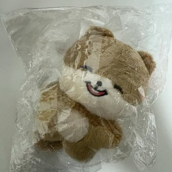 [BUNJANG] Shotaro "Shotangkong" Plush Doll (Sealed) / 쇼타로 인형 쇼탕콩 미개봉 양도