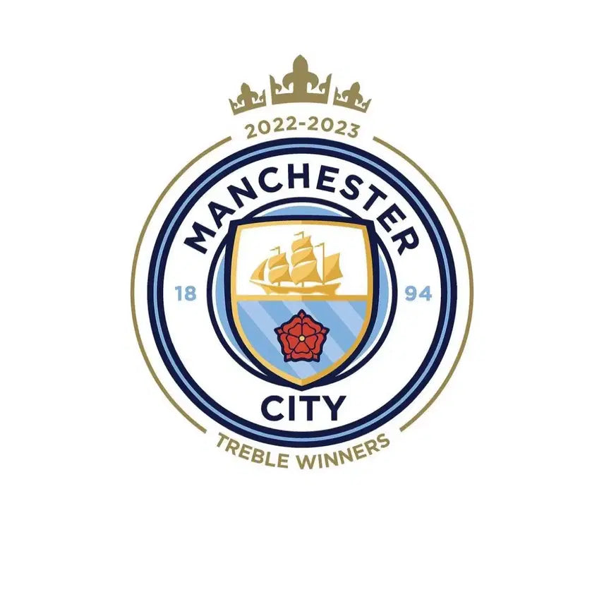 [BUNJANG] Manchester City FC Home Tour Commemorative Ticket / 맨시티 내한 지류 티켓 구매