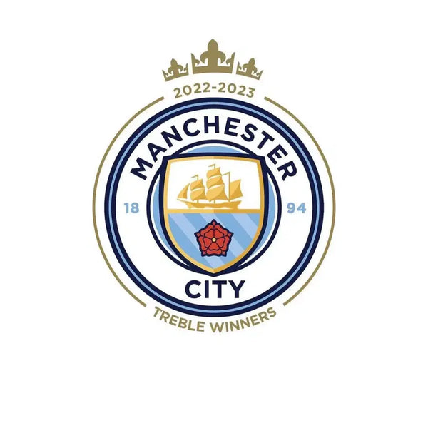 [BUNJANG] Manchester City FC Home Tour Commemorative Ticket / 맨시티 내한 지류 티켓 구매