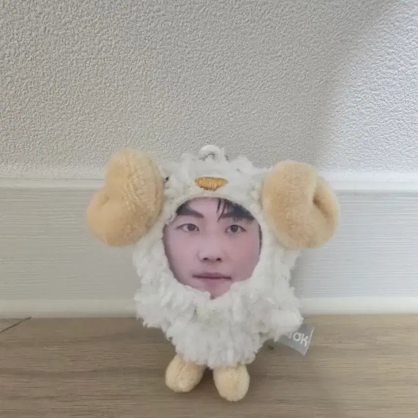 [BUNJANG] Seo Youngwoo Doll / 설영우 인형 굿즈