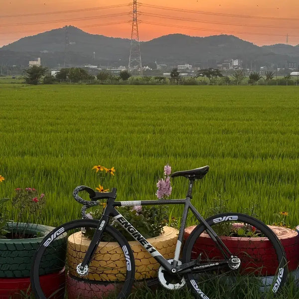 [BUNJANG] Engine11 CritD Neon Charcoal Frameset / 엔진11 크릿디 네온차콜 프레임셋 판/교