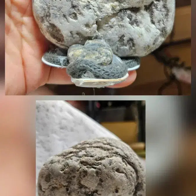 [BUNJANG] Rare Pattern Stone / 희귀문양석