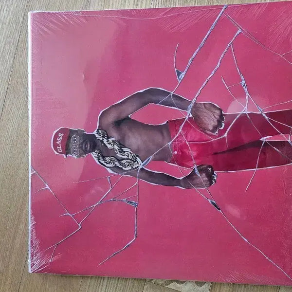 [BUNJANG] Tyler, The Creator Don't Tap the Glass LP (Sealed) / 타일러 더 크리에이터 Don't tap the glass LP 미개봉