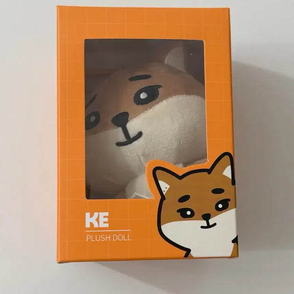 [BUNJANG] Day6 Denimals Pop-up Photocard Holder / 데이식스 24 케