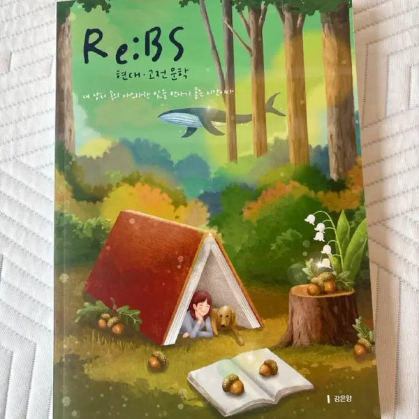 [BUNJANG] 2027 Kang Eun-yang Re:BS Literature Analysis Textbook / 2027 시대인재 강은양 리비에스 Re:BS 문학