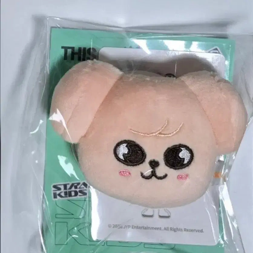 [BUNJANG] Stray Kids SKZ2021 Magnet Holder Grip Talk Pop-Up (Kim Seungmin) / 미개봉, 원가이하)스키즈 스트레이키즈 디스앤댓 팝업 마그넷 홀더 그립톡 퍼핌 김승민