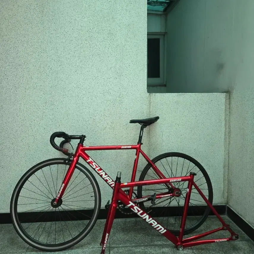 [BUNJANG] Tsunami SNM100 Size L Bicycle Frame with Upgrades / 쓰나미