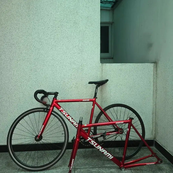 [BUNJANG] Tsunami SNM100 Size L Bicycle Frame with Upgrades / 쓰나미