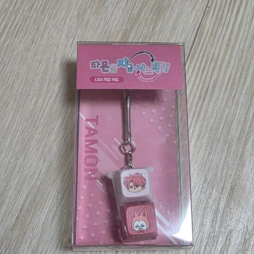 [BUNJANG] Tamon-gun 'Which Way is Yongsan?' Cafe Unsealed Keyring / 타몬군 지금 어느쪽 용산 카페 개봉 키링